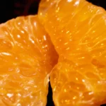 Close-up of orange citrus slices