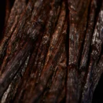 Close-up of dark vanilla pods